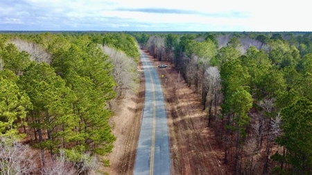 Timberland Property Lafayette County Arkansas - image 11