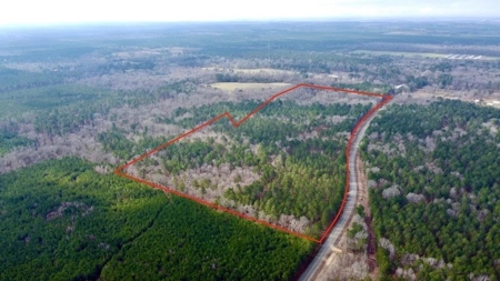 Timberland Property Lafayette County Arkansas - image 10