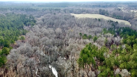 Timberland Property Lafayette County Arkansas - image 5