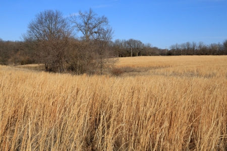 Land For Sale Clinton Missouri - image 10