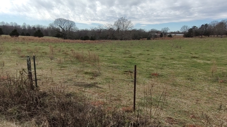 Vacant land near I-40,  Iredell County , NC  Fenced pasture - image 5