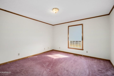 Land and farm for sale 629 Westgate Rd, Cookeville TN - image 43