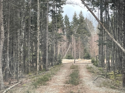 Buildable Lot Near the Coast - image 2