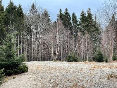 Buildable Lot Near the Coast - image 1