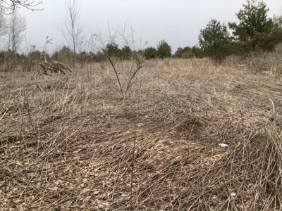 Fishing, Hunting, Camping This Property Has It All  10 Acres - image 3