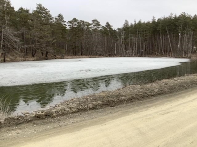 Fishing, Hunting, Camping This Property Has It All  10 Acres - image 1