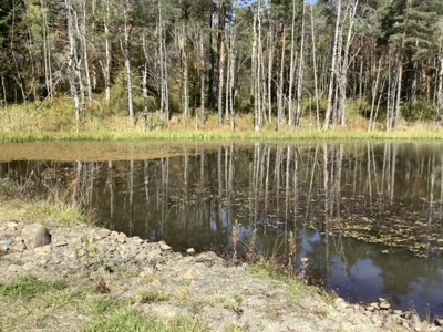 Fishing, Hunting, Camping This Property Has It All  10 Acres - image 12