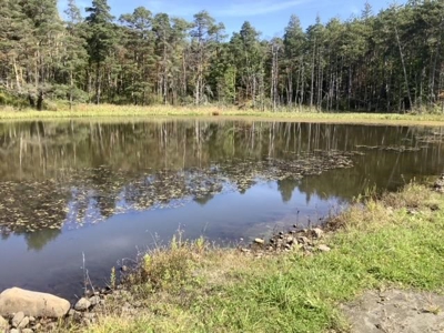 Fishing, Hunting, Camping This Property Has It All  10 Acres - image 11