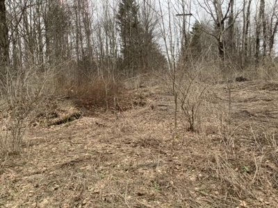 Fishing, Hunting, Camping This Property Has It All  10 Acres - image 7