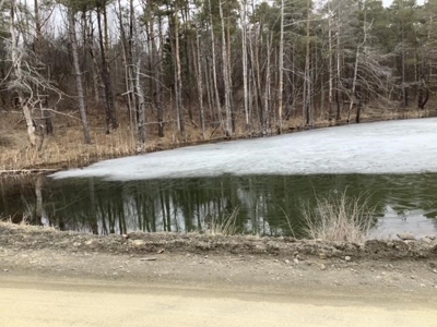 Fishing, Hunting, Camping This Property Has It All  10 Acres - image 8