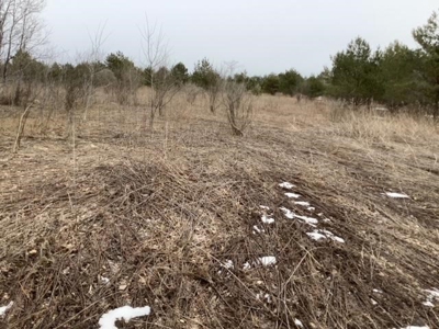Fishing, Hunting, Camping This Property Has It All  10 Acres - image 4