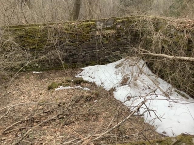 Fishing, Hunting, Camping This Property Has It All  10 Acres - image 6