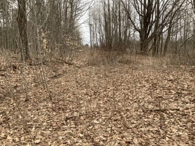 Fishing, Hunting, Camping This Property Has It All  10 Acres - image 5