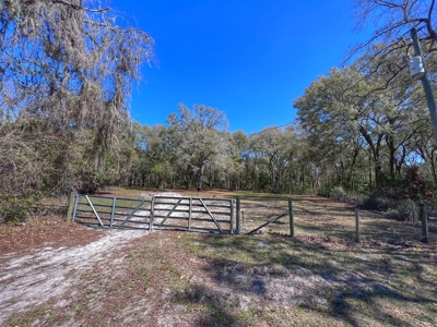 Commercial Property For Sale In Chiefland Florida! - image 4