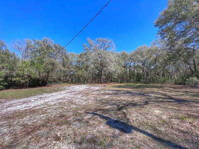 Commercial Property For Sale In Chiefland Florida! - image 5