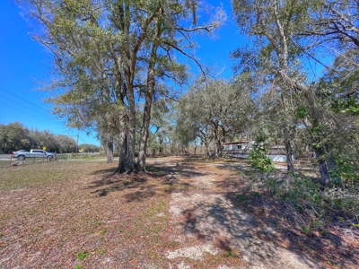 Commercial Property For Sale In Chiefland Florida! - image 7