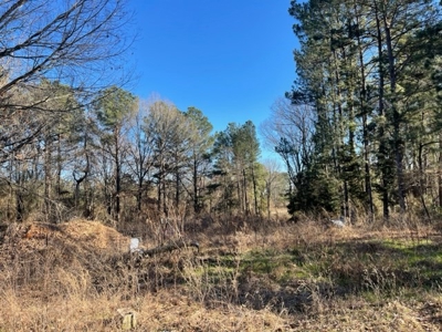 North East Texas Land For Sale - image 3