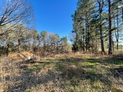 North East Texas Land For Sale - image 4