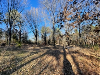 North East Texas Land For Sale - image 9