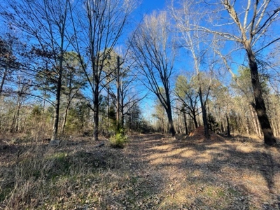 North East Texas Land For Sale - image 7