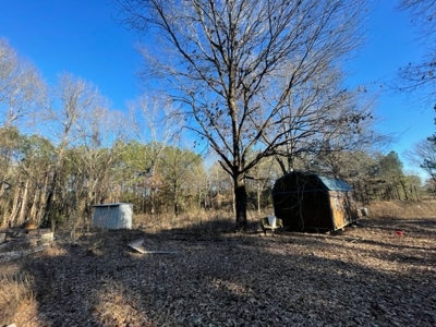 North East Texas Land For Sale - image 6