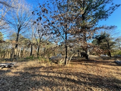 North East Texas Land For Sale - image 8