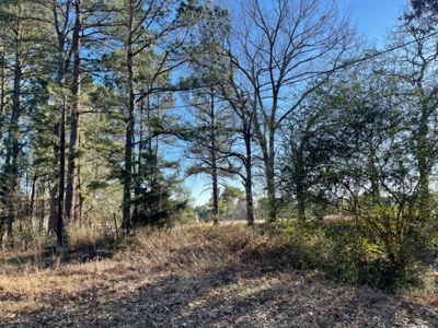 North East Texas Land For Sale - image 5