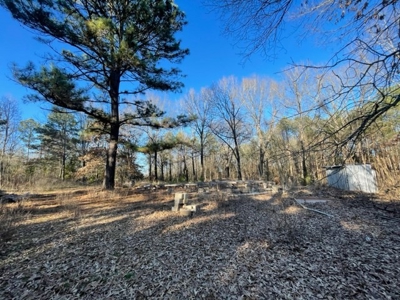 North East Texas Land For Sale - image 2