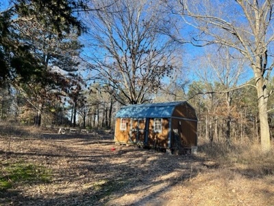 North East Texas Land For Sale - image 1
