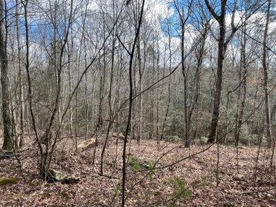 126+- Acres on top of the Cumberland Plateau Whitwell TN - image 49