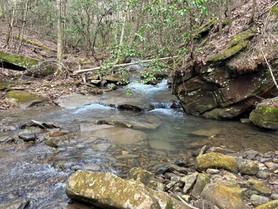 126+- Acres on top of the Cumberland Plateau Whitwell TN - image 15