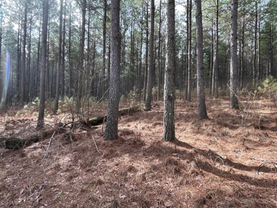 126+- Acres on top of the Cumberland Plateau Whitwell TN - image 38