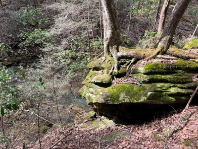 126+- Acres on top of the Cumberland Plateau Whitwell TN - image 22