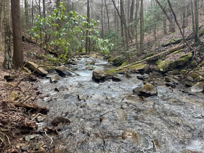 126+- Acres on top of the Cumberland Plateau Whitwell TN - image 18