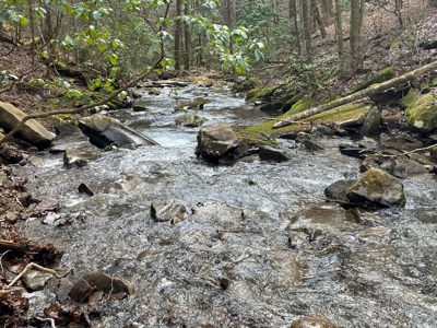 126+- Acres on top of the Cumberland Plateau Whitwell TN - image 17