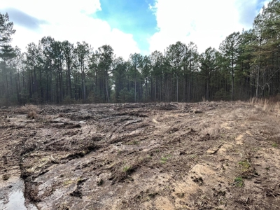 126+- Acres on top of the Cumberland Plateau Whitwell TN - image 25