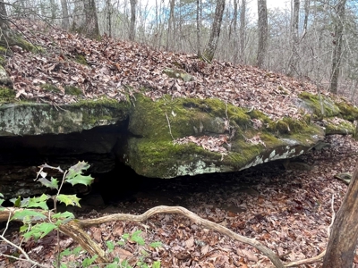 126+- Acres on top of the Cumberland Plateau Whitwell TN - image 46