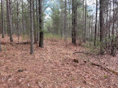 126+- Acres on top of the Cumberland Plateau Whitwell TN - image 24