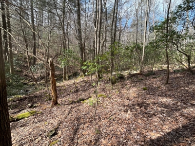 126+- Acres on top of the Cumberland Plateau Whitwell TN - image 5