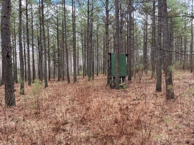 126+- Acres on top of the Cumberland Plateau Whitwell TN - image 29