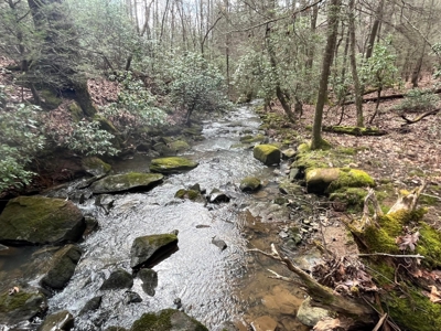 126+- Acres on top of the Cumberland Plateau Whitwell TN - image 39