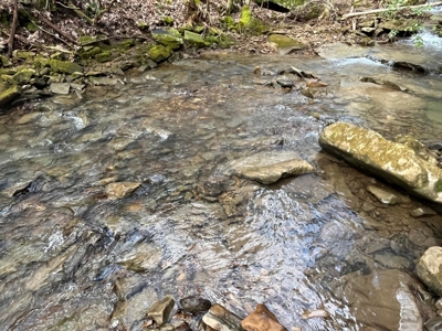 126+- Acres on top of the Cumberland Plateau Whitwell TN - image 16