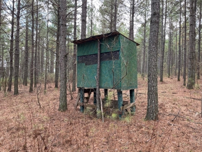 126+- Acres on top of the Cumberland Plateau Whitwell TN - image 28