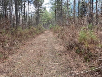 126+- Acres on top of the Cumberland Plateau Whitwell TN - image 26