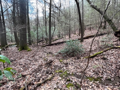 126+- Acres on top of the Cumberland Plateau Whitwell TN - image 30