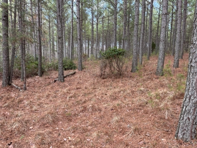 126+- Acres on top of the Cumberland Plateau Whitwell TN - image 23