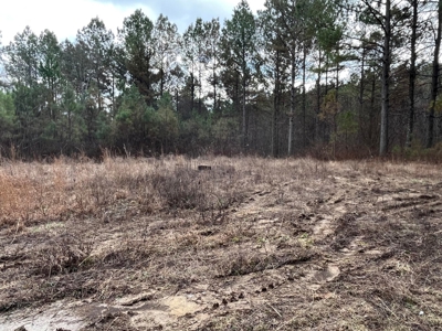 126+- Acres on top of the Cumberland Plateau Whitwell TN - image 9