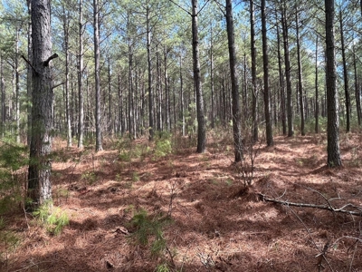 126+- Acres on top of the Cumberland Plateau Whitwell TN - image 2