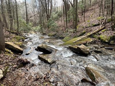 126+- Acres on top of the Cumberland Plateau Whitwell TN - image 13
