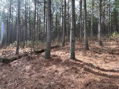 126+- Acres on top of the Cumberland Plateau Whitwell TN - image 40